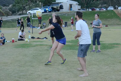 DSC_5366 (Large).JPG